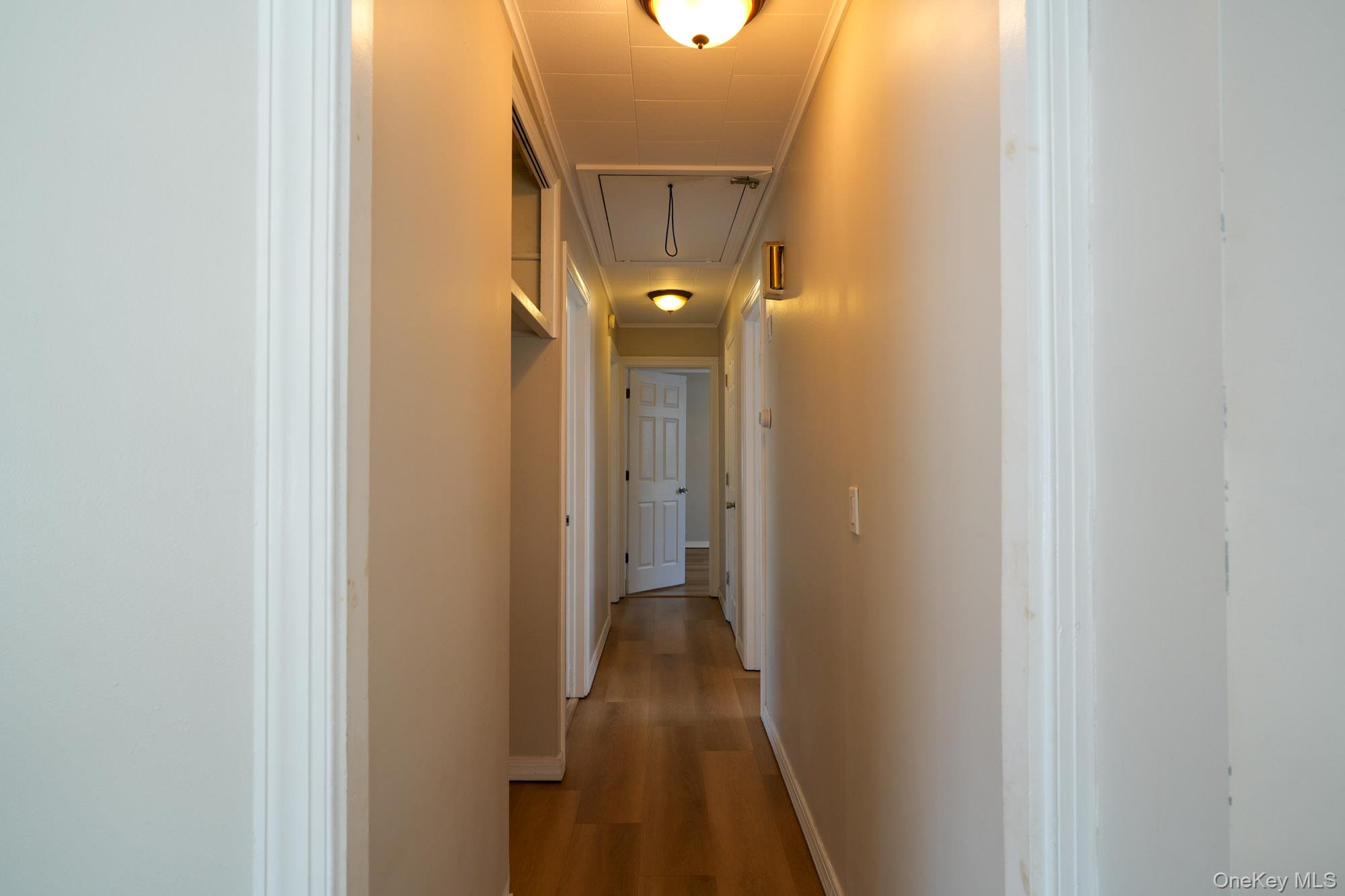 59 Troy Avenue Upper Property Photo 11