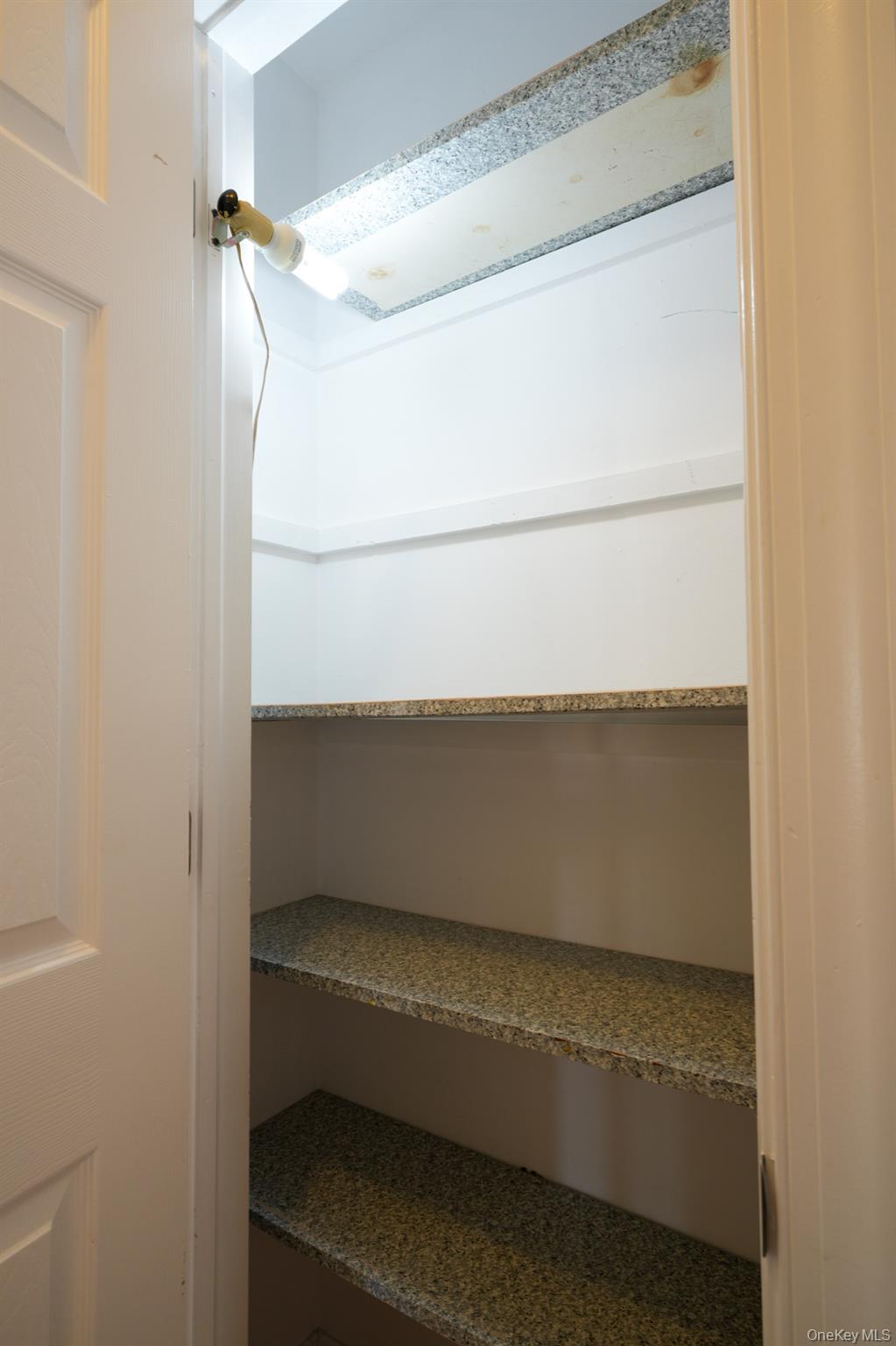 59 Troy Avenue Upper Property Photo 17