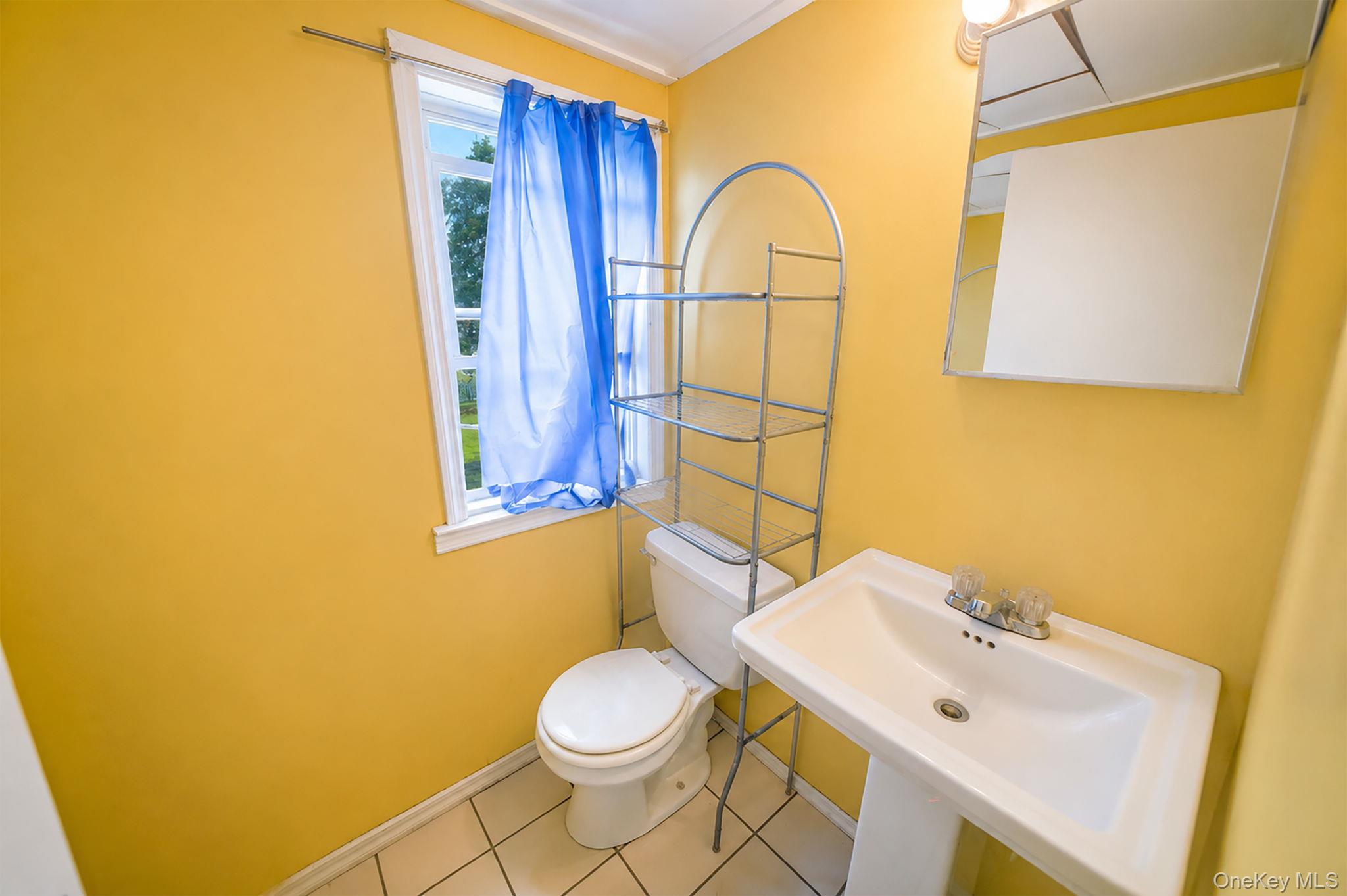 366 Albany Avenue Property Photo 19