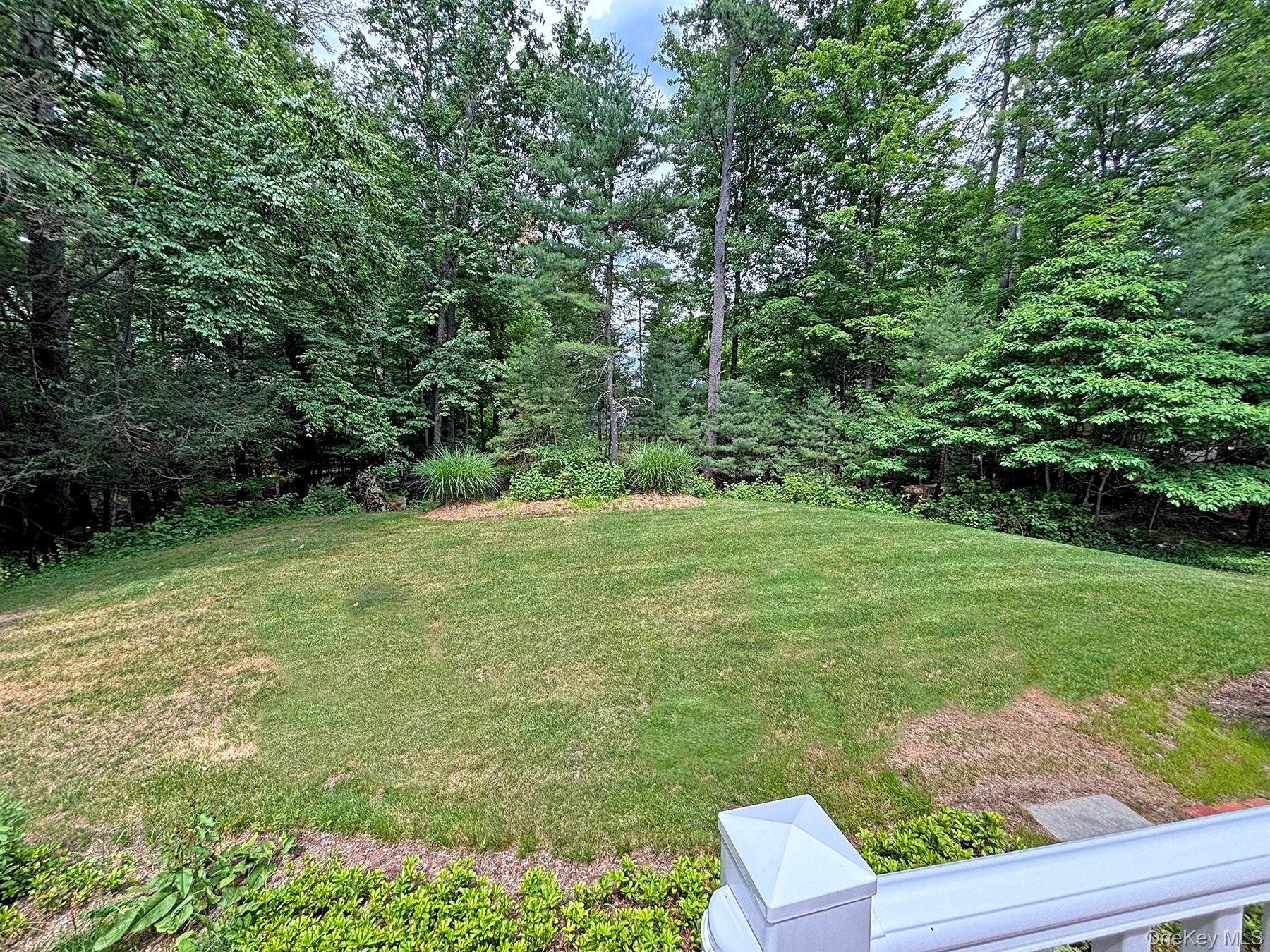 24 Ryan Drive Property Photo 42
