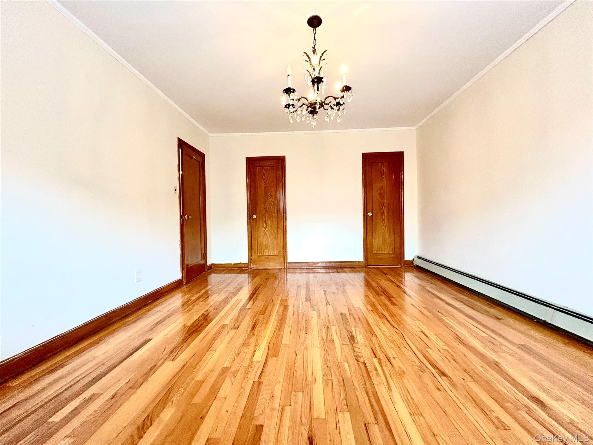 77-04 85th Street Property Photo 18