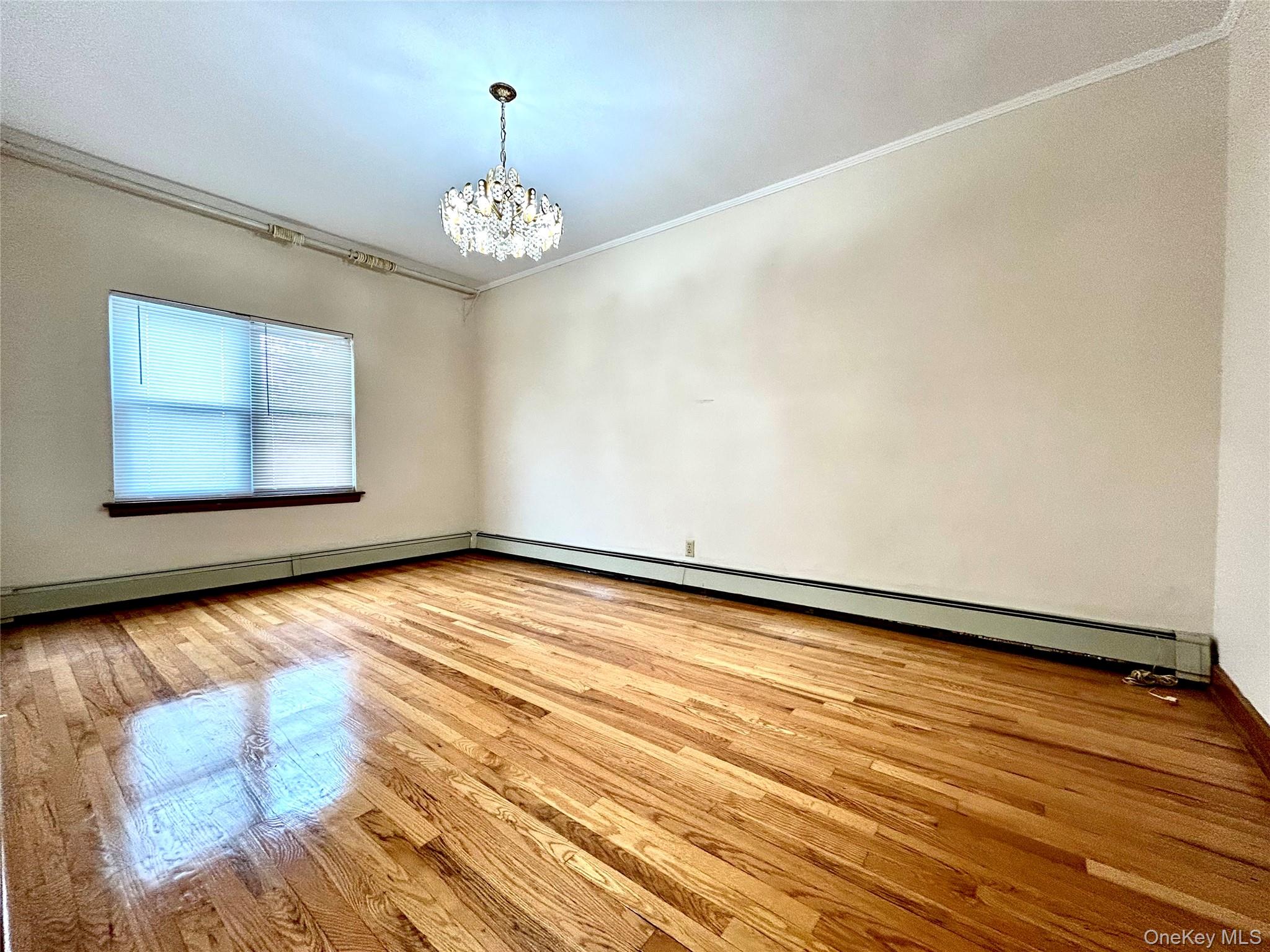 77-04 85th Street Property Photo 20