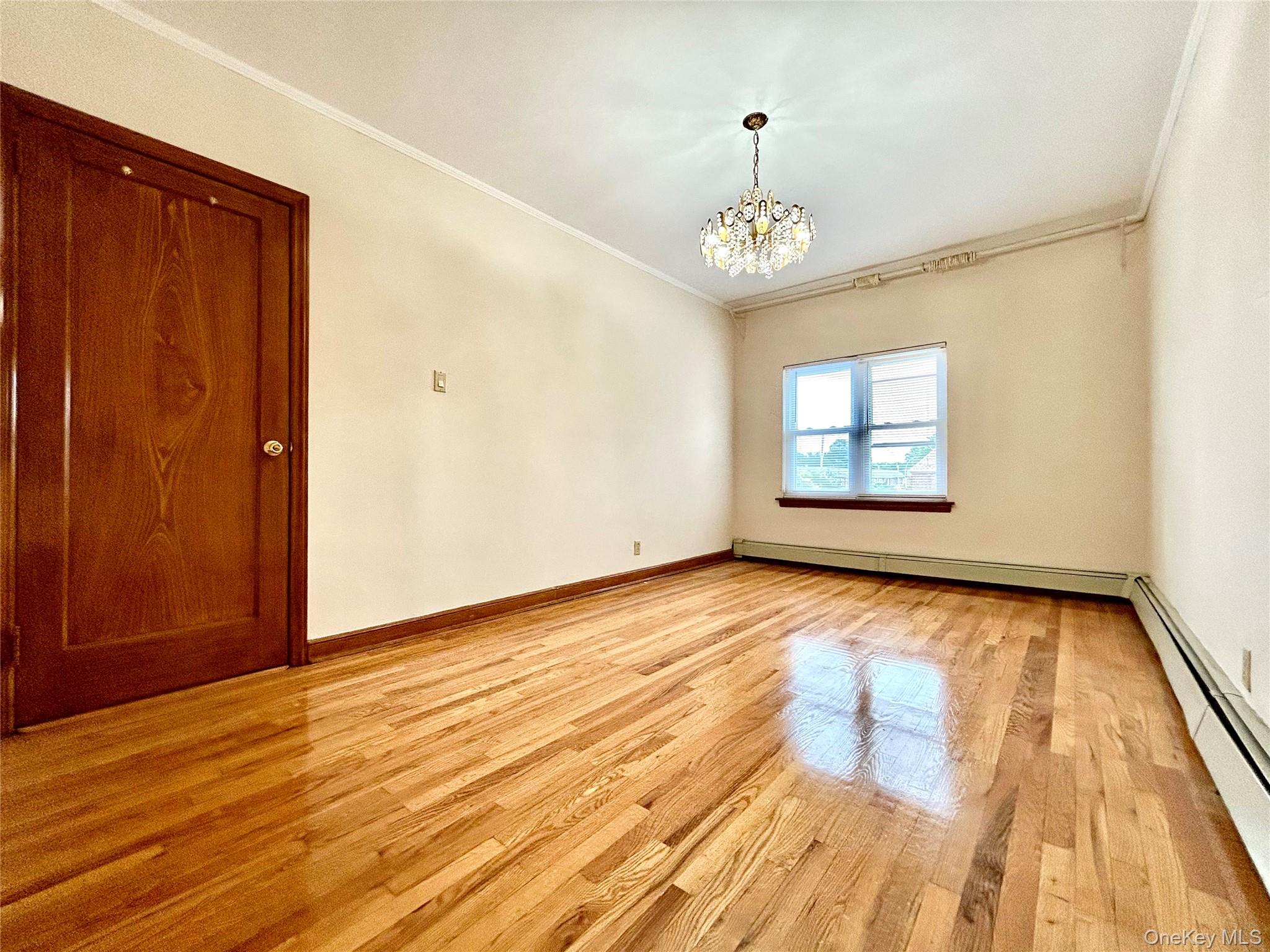 77-04 85th Street Property Photo 22