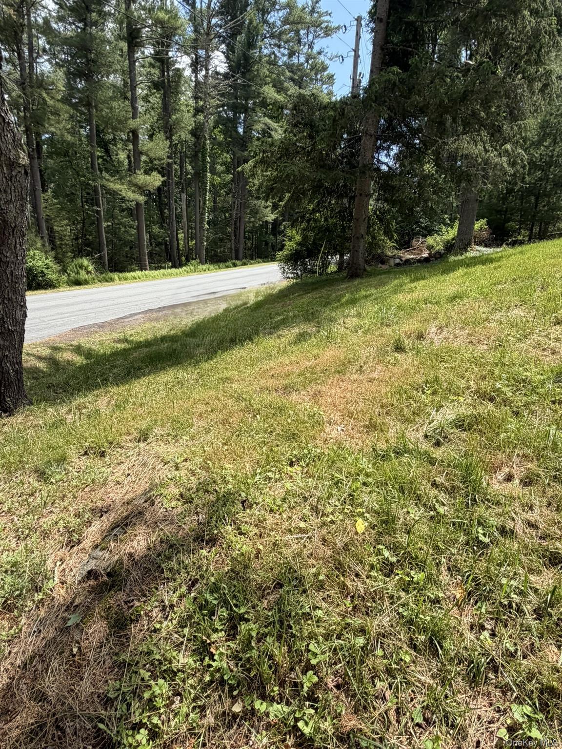 5 Steges Road Property Photo 5