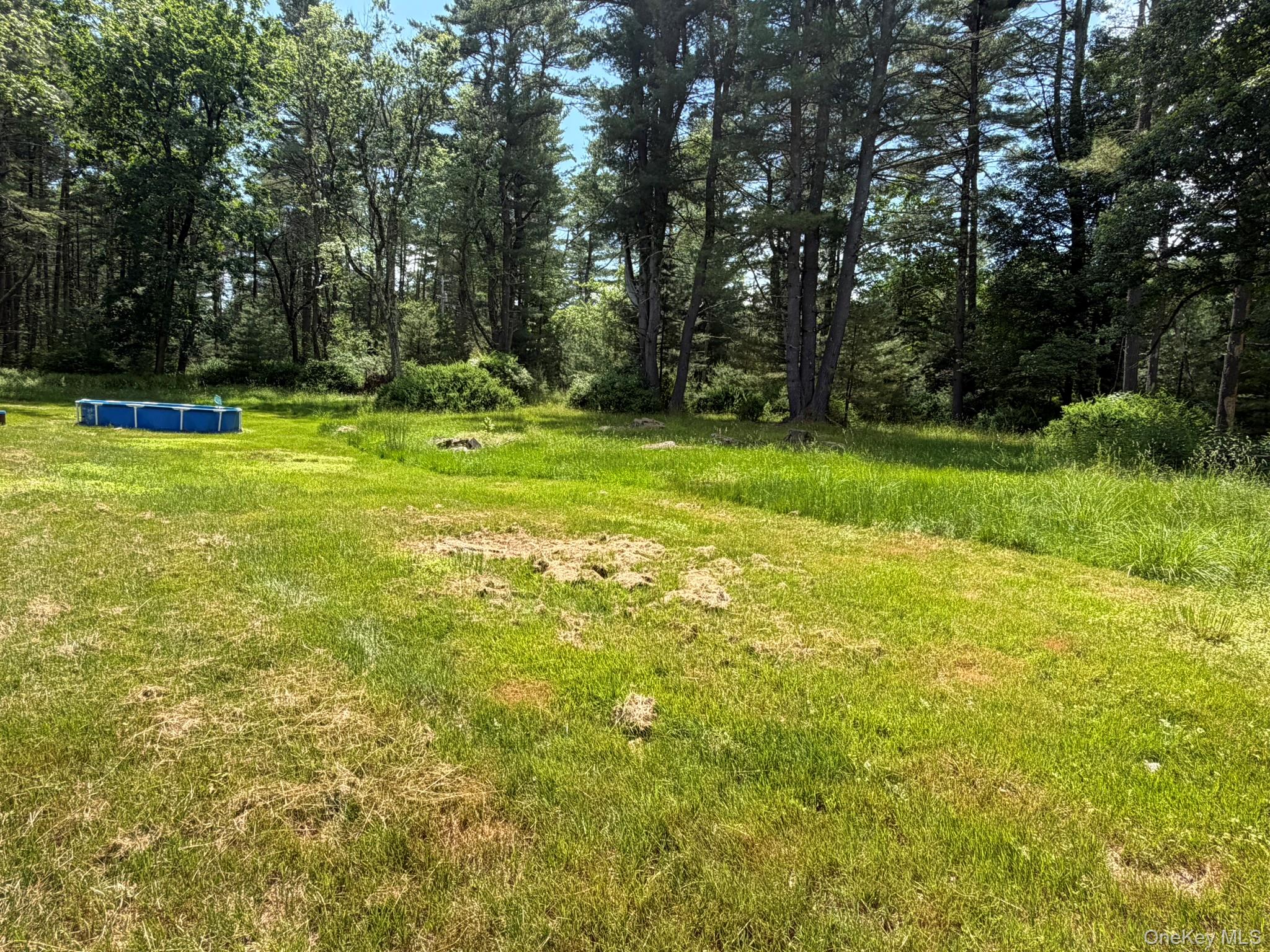 5 Steges Road Property Photo 6