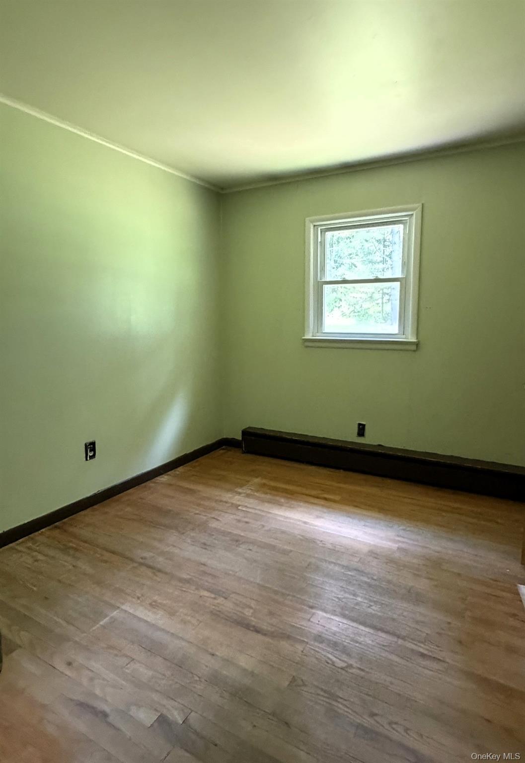 5 Steges Road Property Photo 11