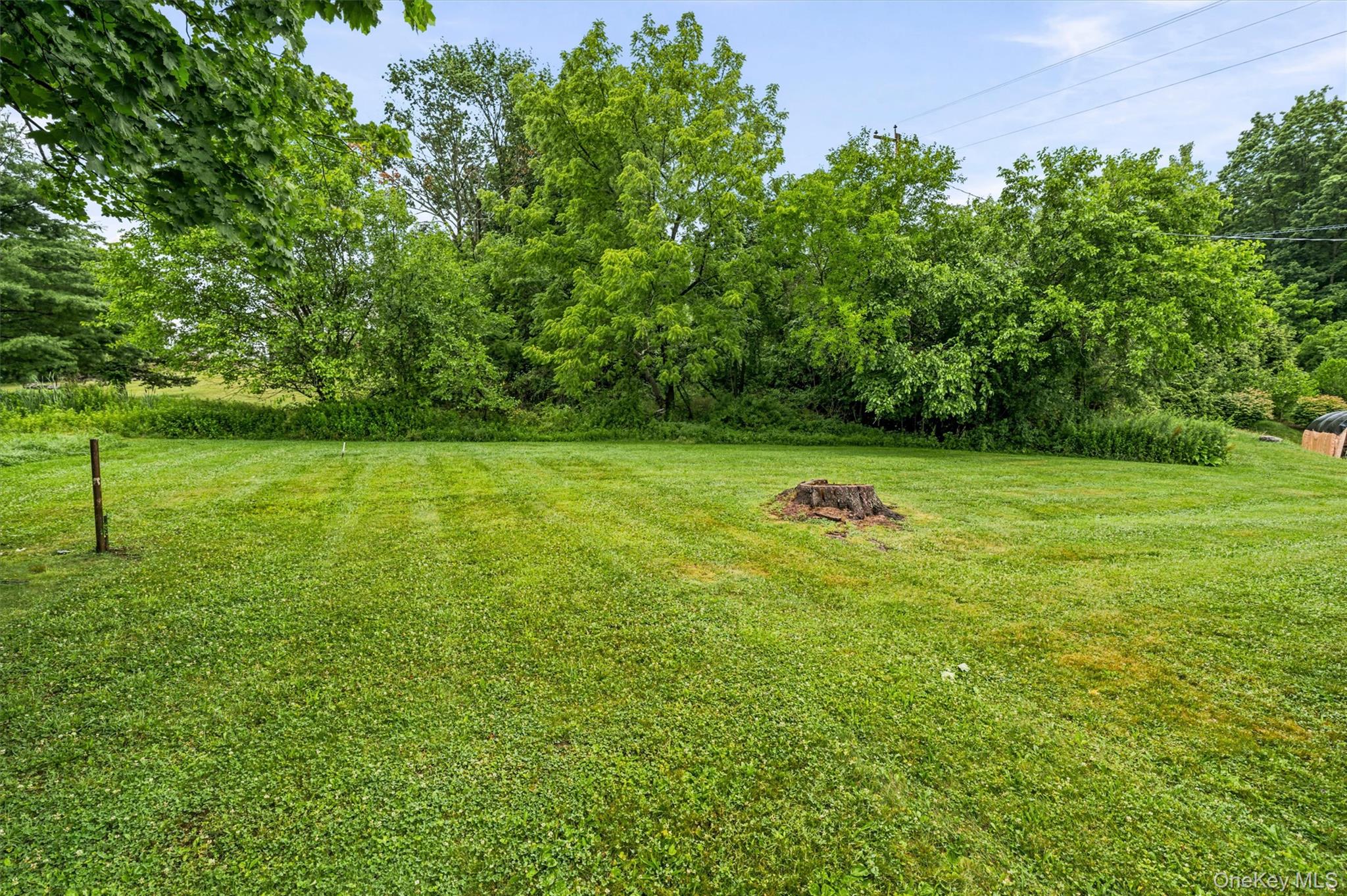 86 Orchard Street Property Photo 30