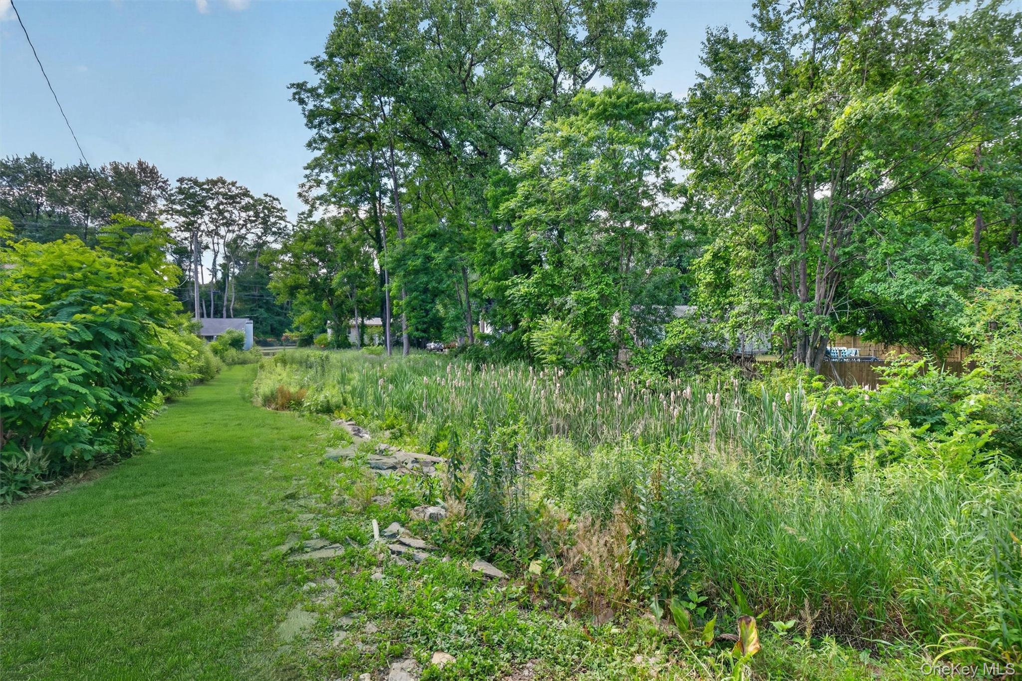 262 Linden Avenue Property Photo 4