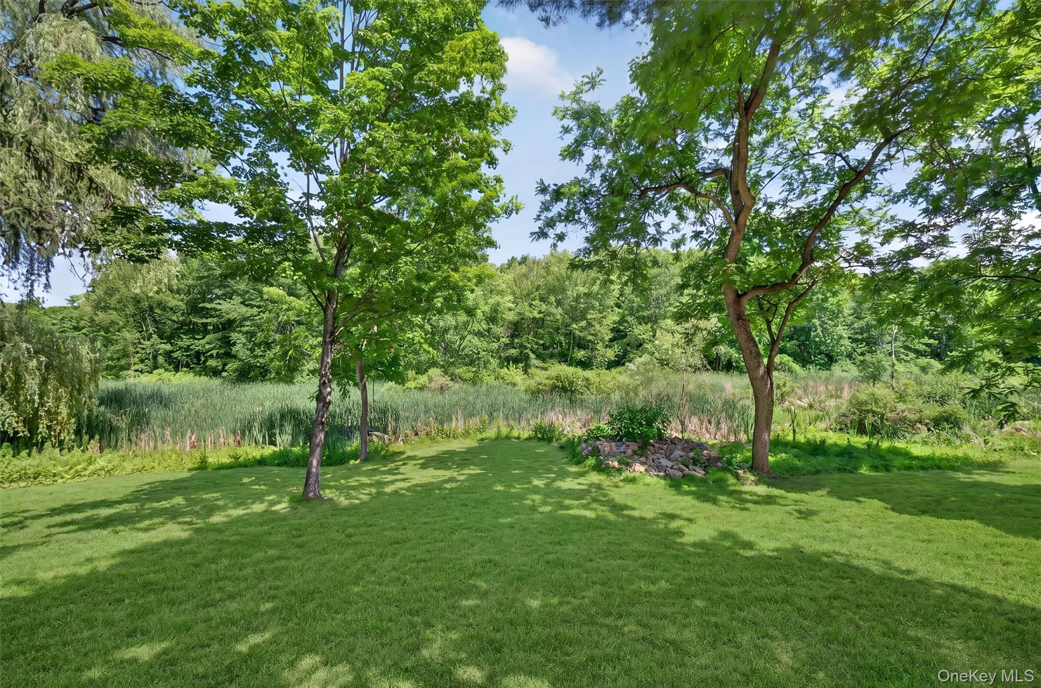 262 Linden Avenue Property Photo 34