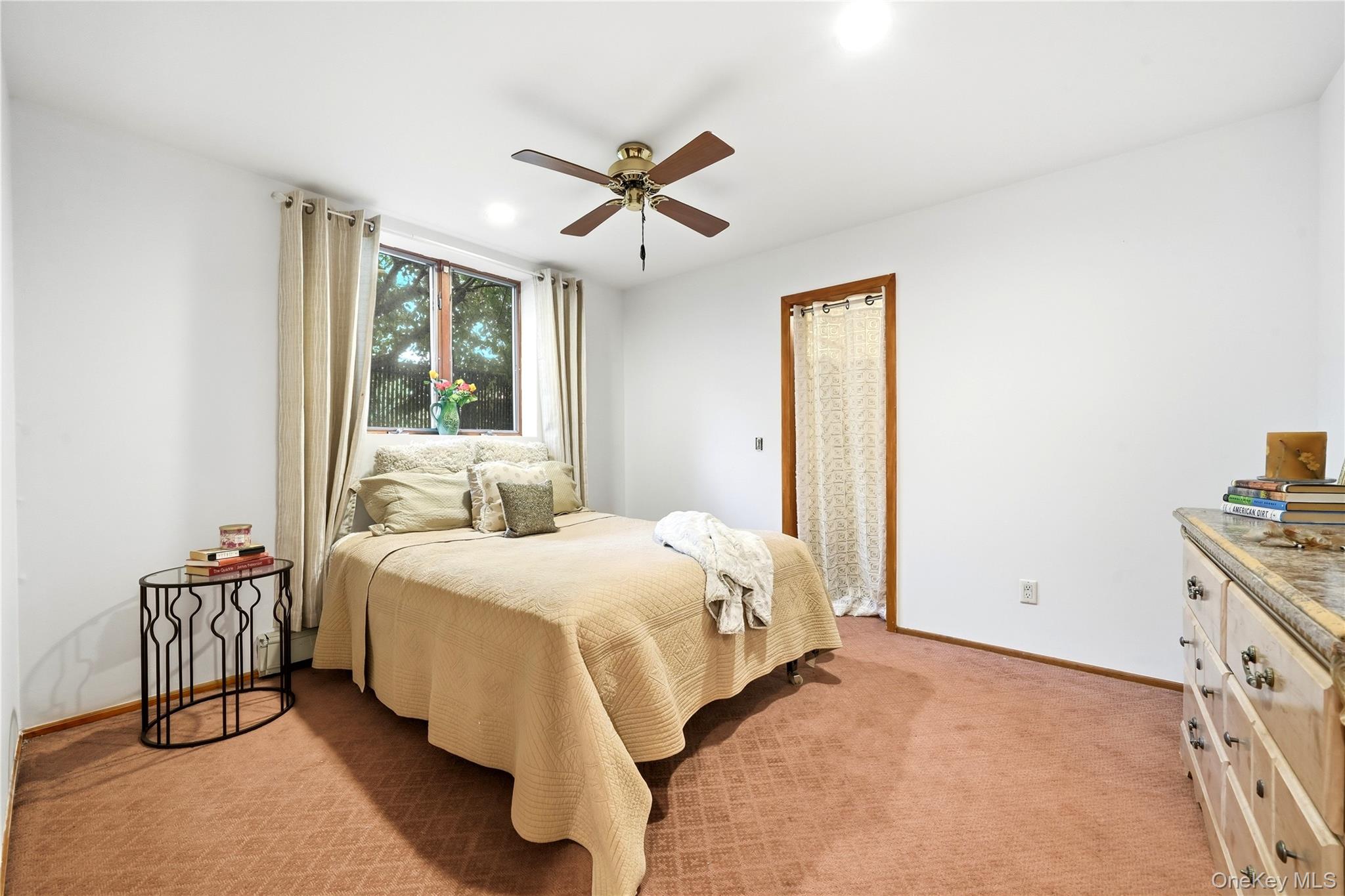 3 Finnin Place Property Photo 4