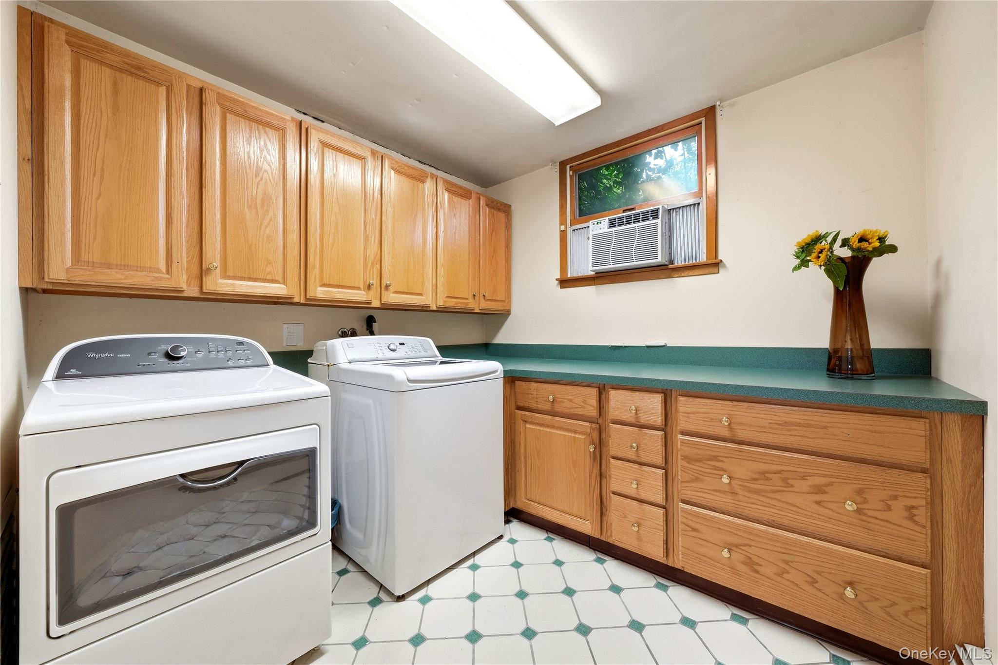 3 Finnin Place Property Photo 5