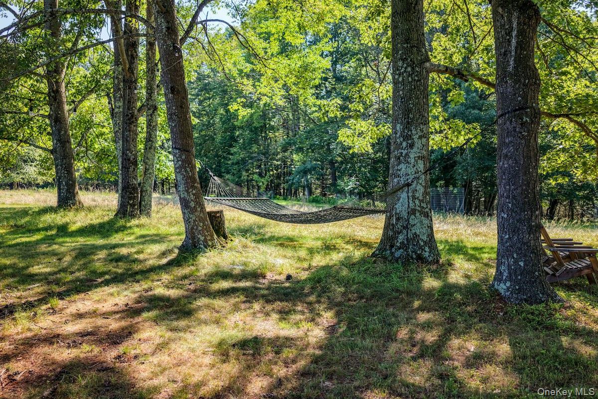 81 Devils Road Property Photo 24