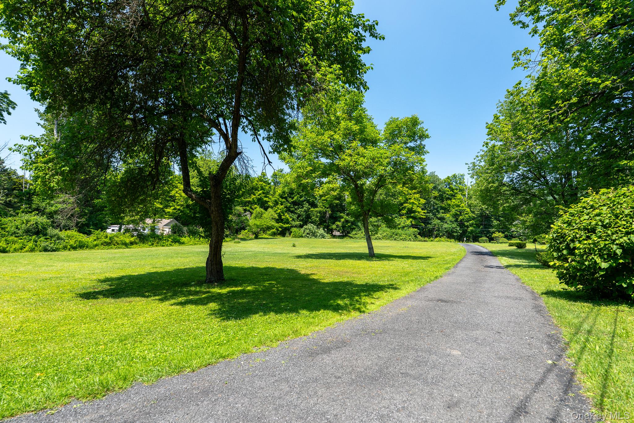 212 Old Dutch Hollow Road Property Photo 8