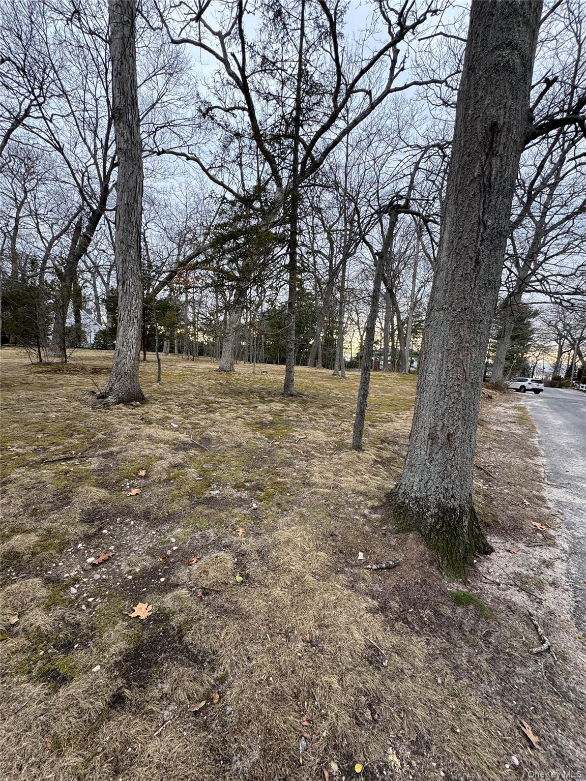 Dogwood Drive Property Photo 2