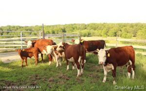 1001 13 Route Property Photo 15