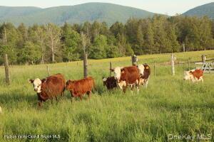 1001 13 Route Property Photo 16