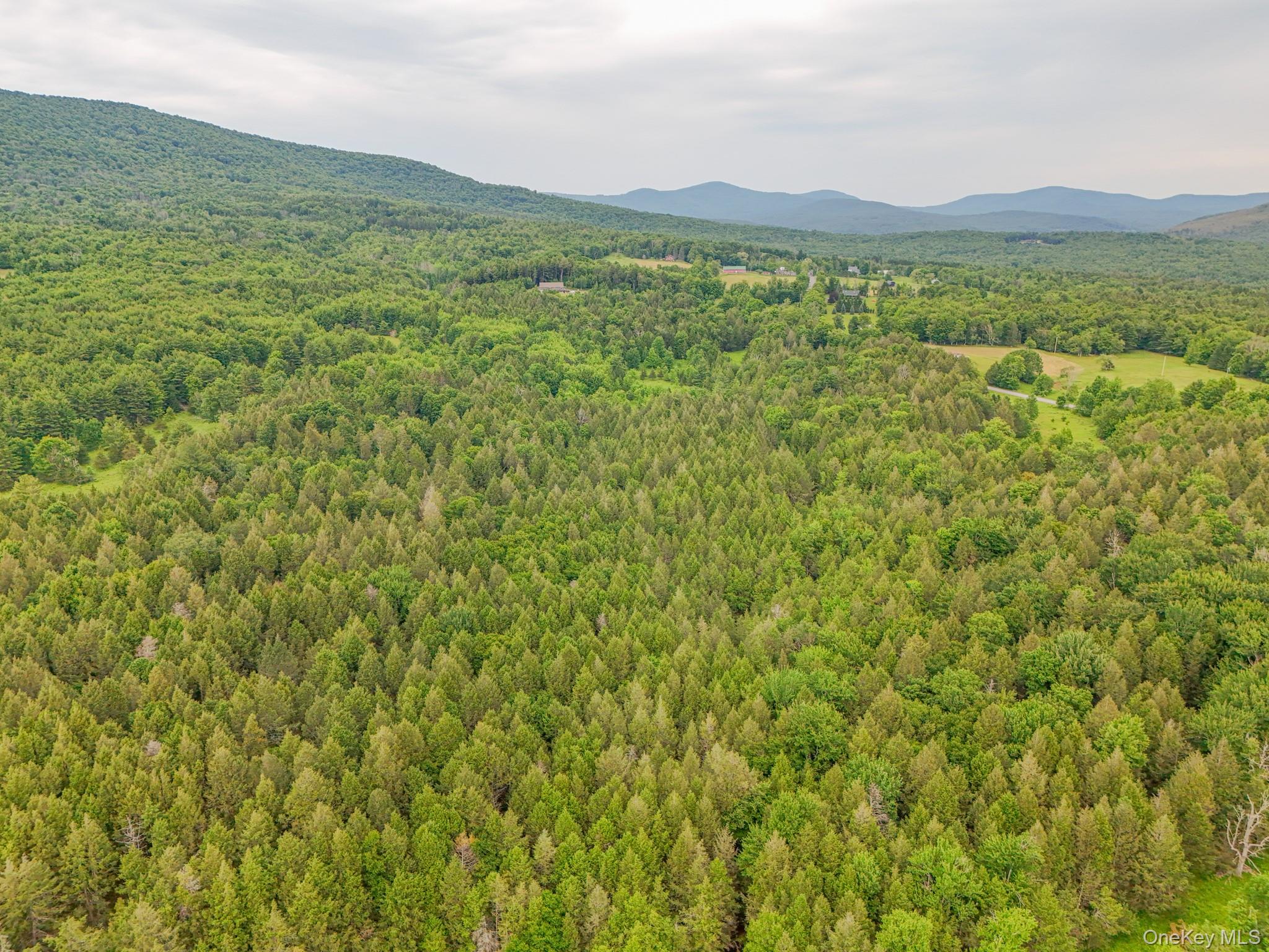 1001 13 Route Property Photo 34