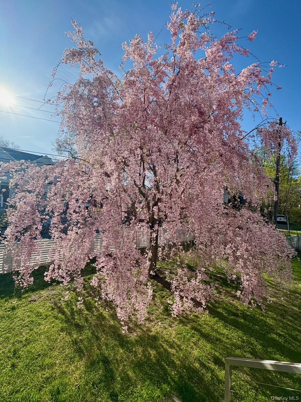 1 Dale Street Property Photo 27