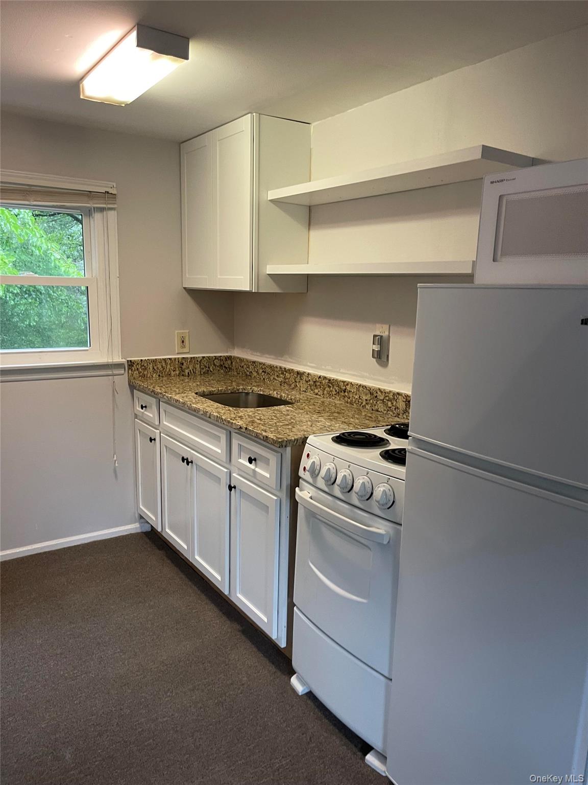 206 Dickinson Avenue Property Photo 2