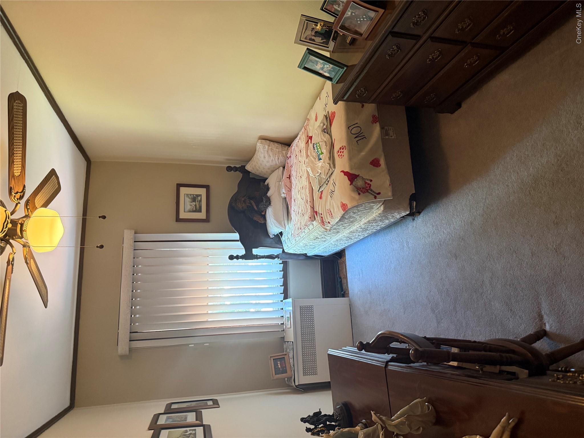 64-23 84th Street Property Photo 18