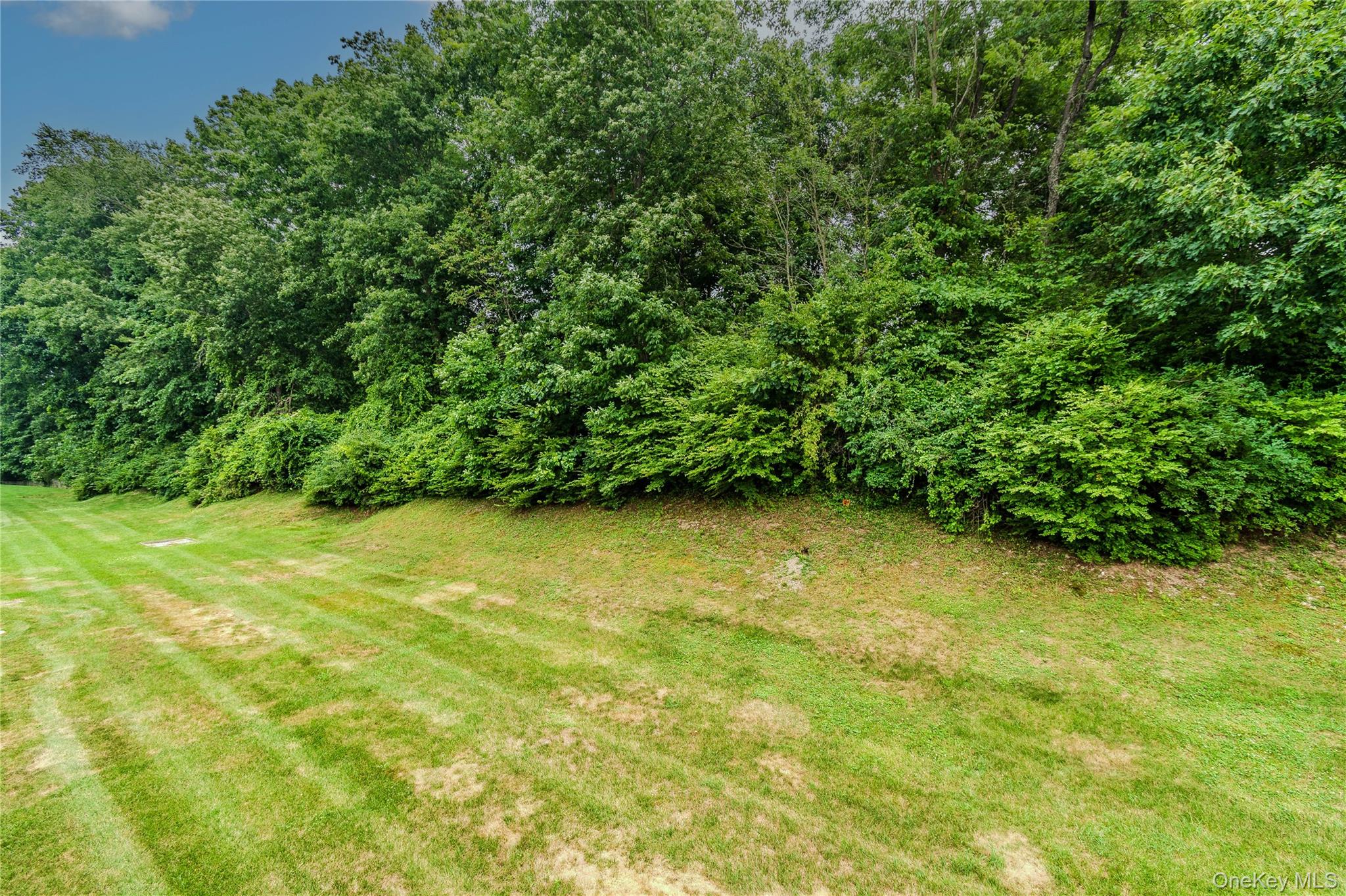 255 Crestwood Court Property Photo 31