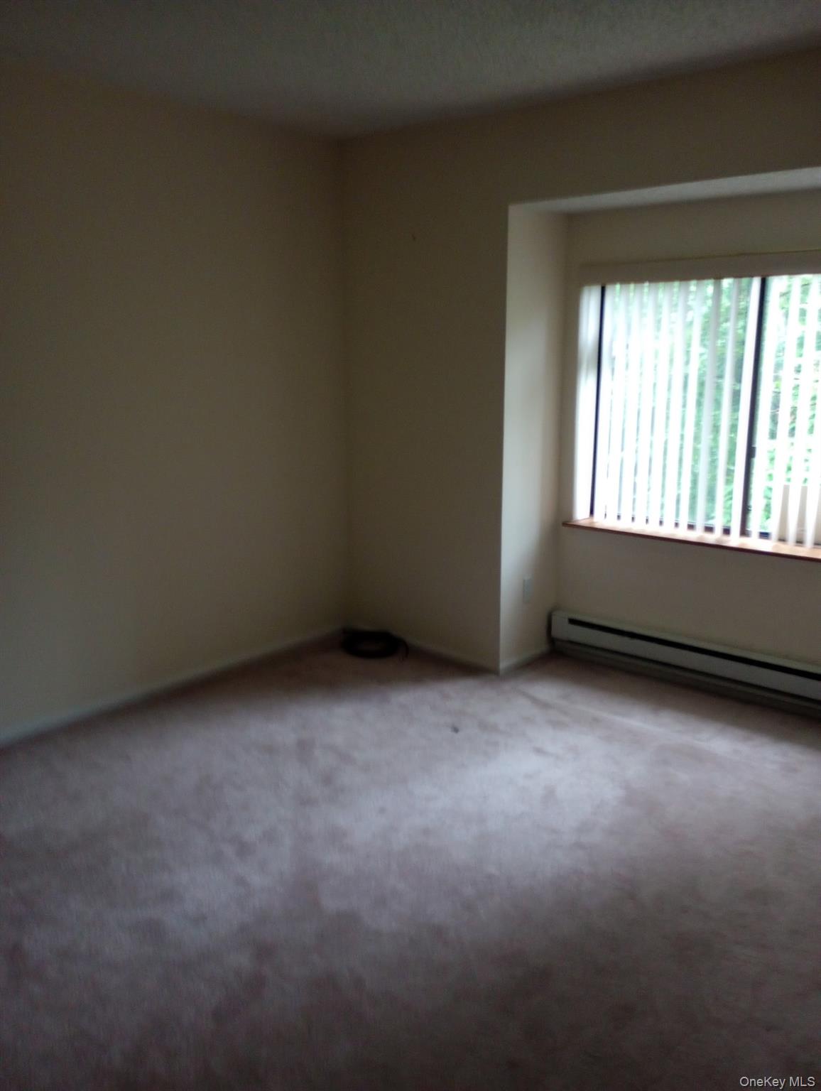 51 Edelweiss Drive Property Photo 15