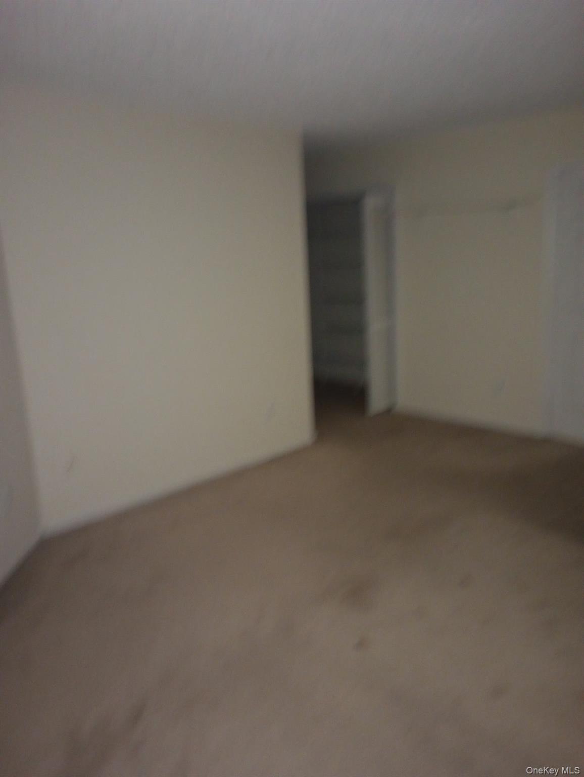 51 Edelweiss Drive Property Photo 19