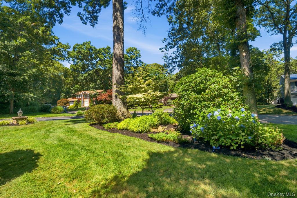 20 Oak Tree Drive Property Photo 4