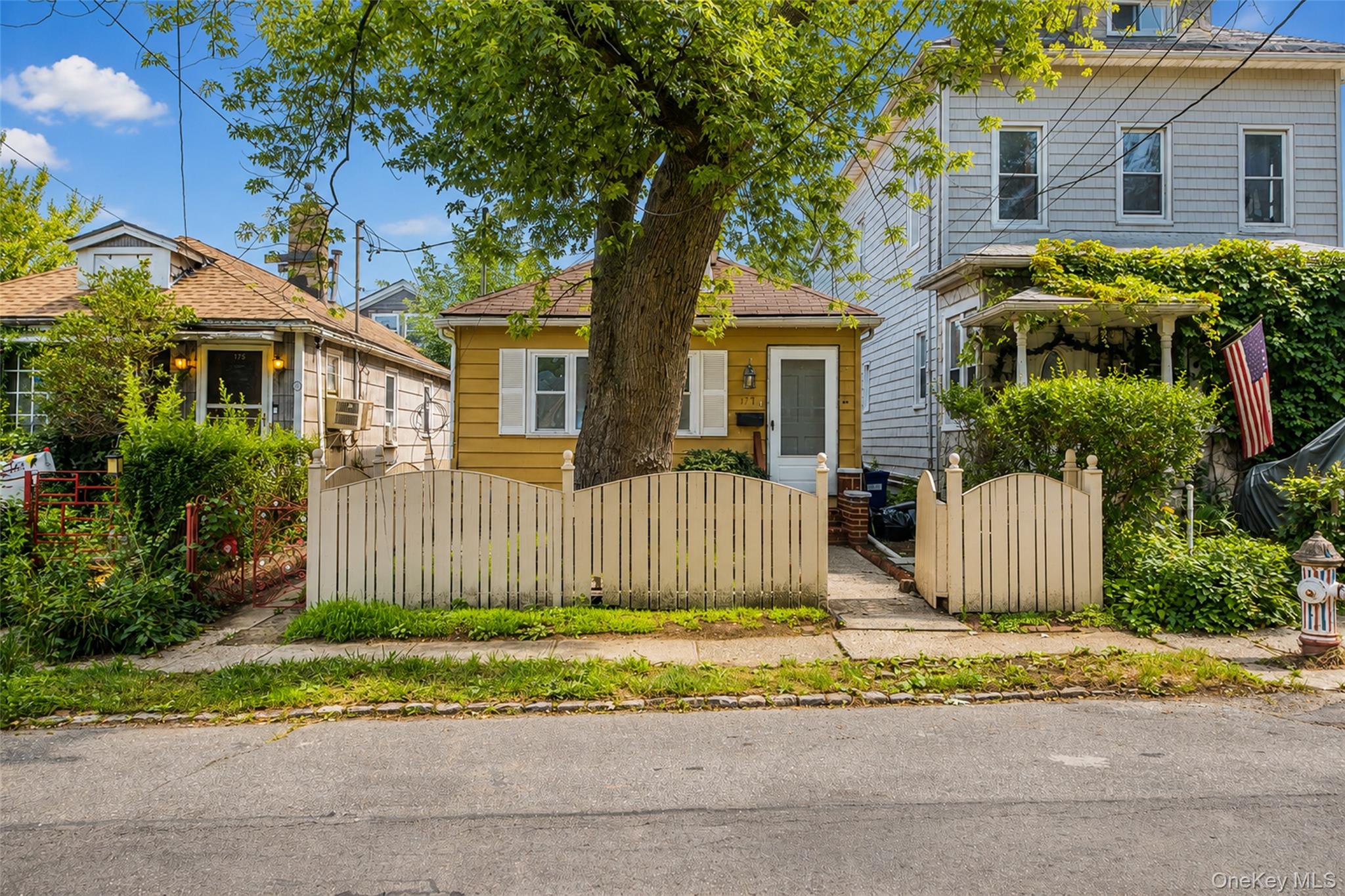 177 Terrace Street Property Photo 17
