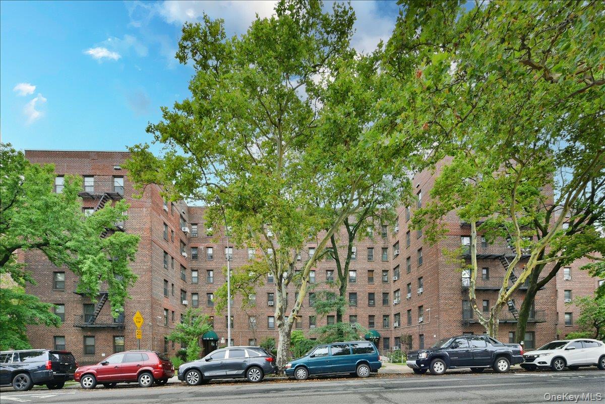 52-54 65th Place 1p Property Photo 2