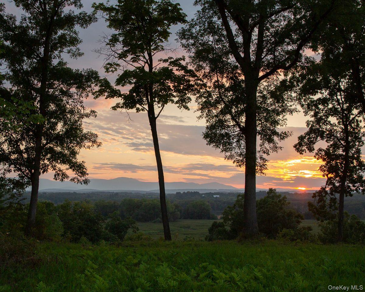 6881 Rod And Gun Road Property Photo 11