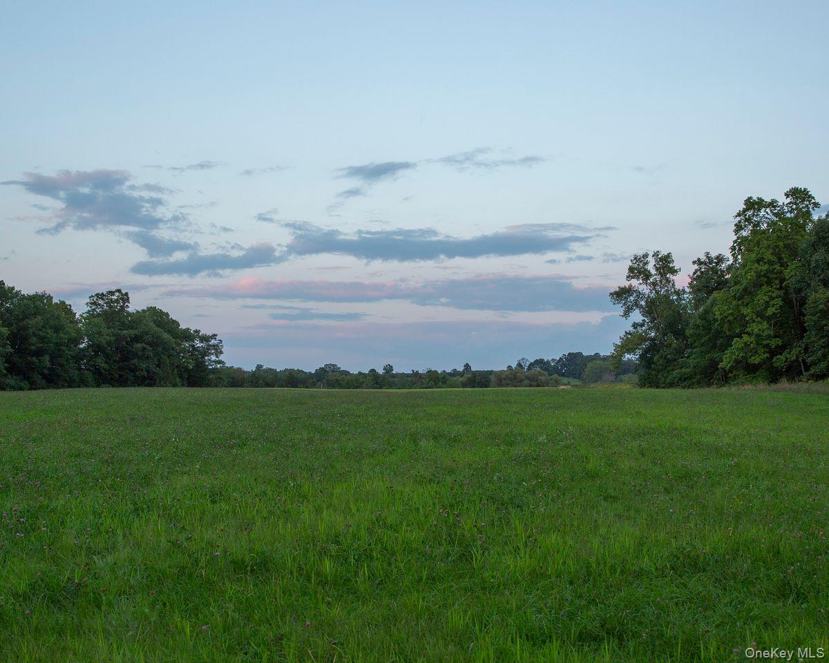 6881 Rod And Gun Road Property Photo 12