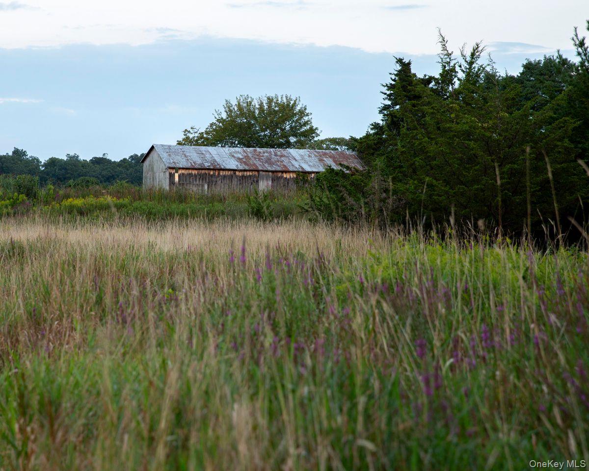 6881 Rod And Gun Road Property Photo 13