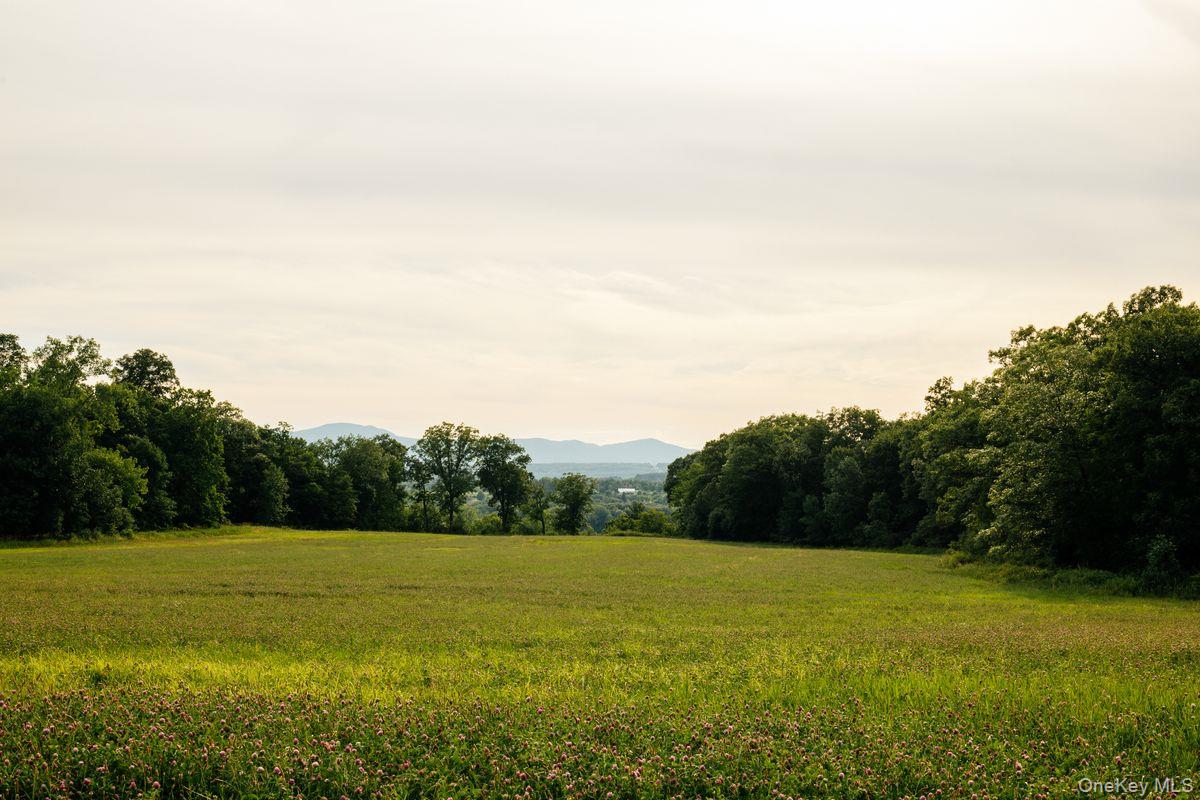 6881 Rod And Gun Road Property Photo 15