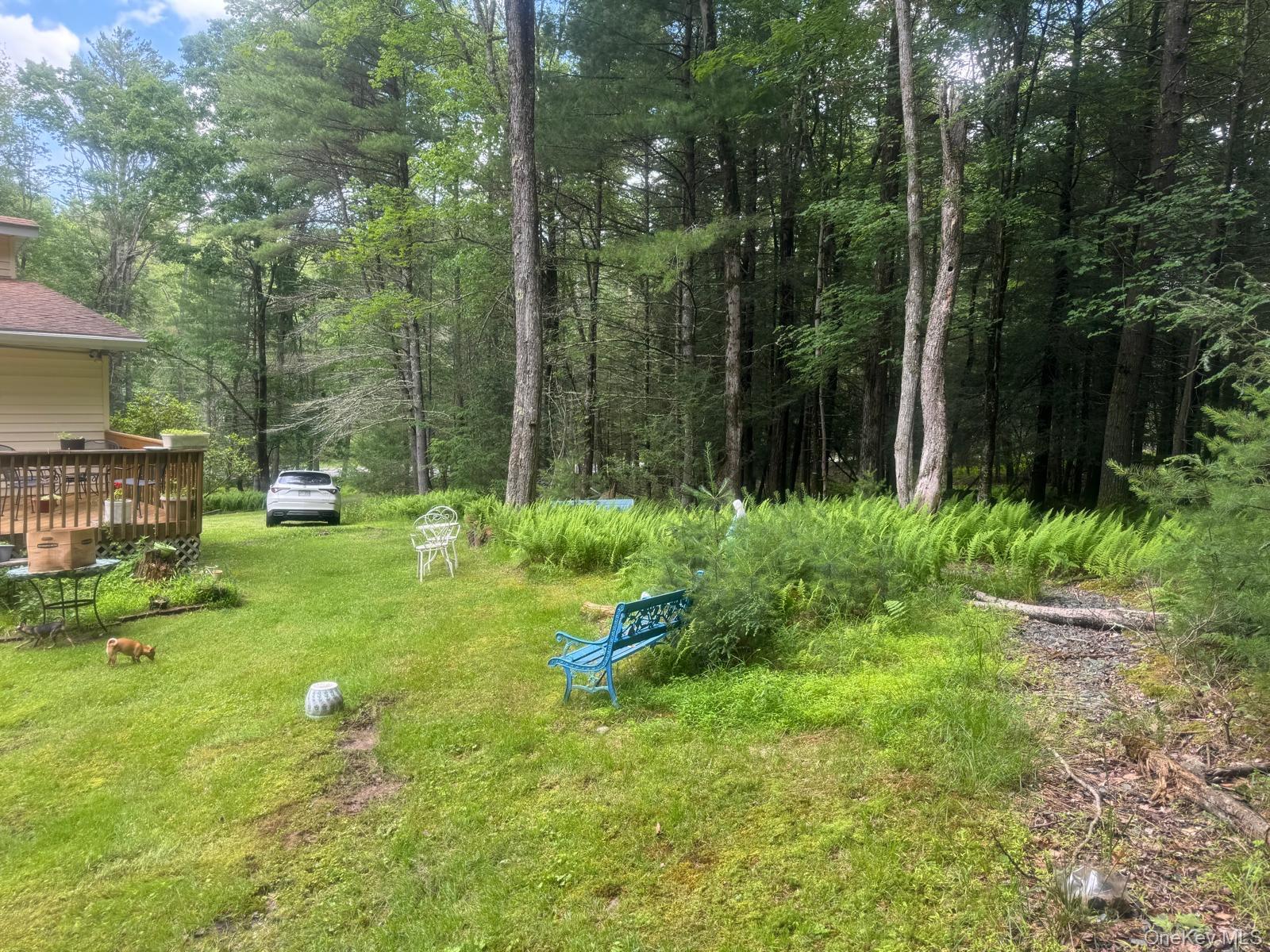 60 Highland Lake Road Property Photo 14