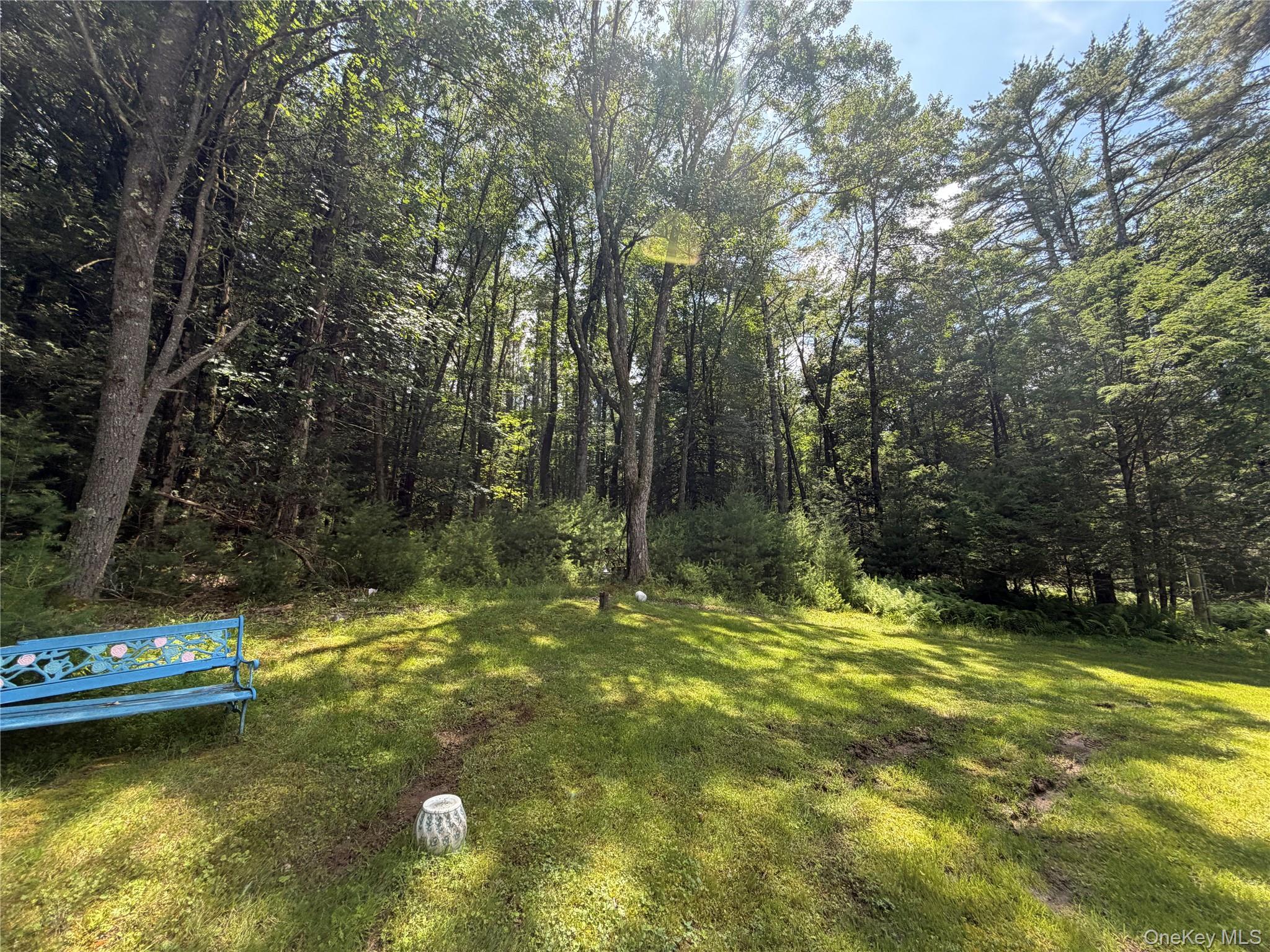 60 Highland Lake Road Property Photo 28