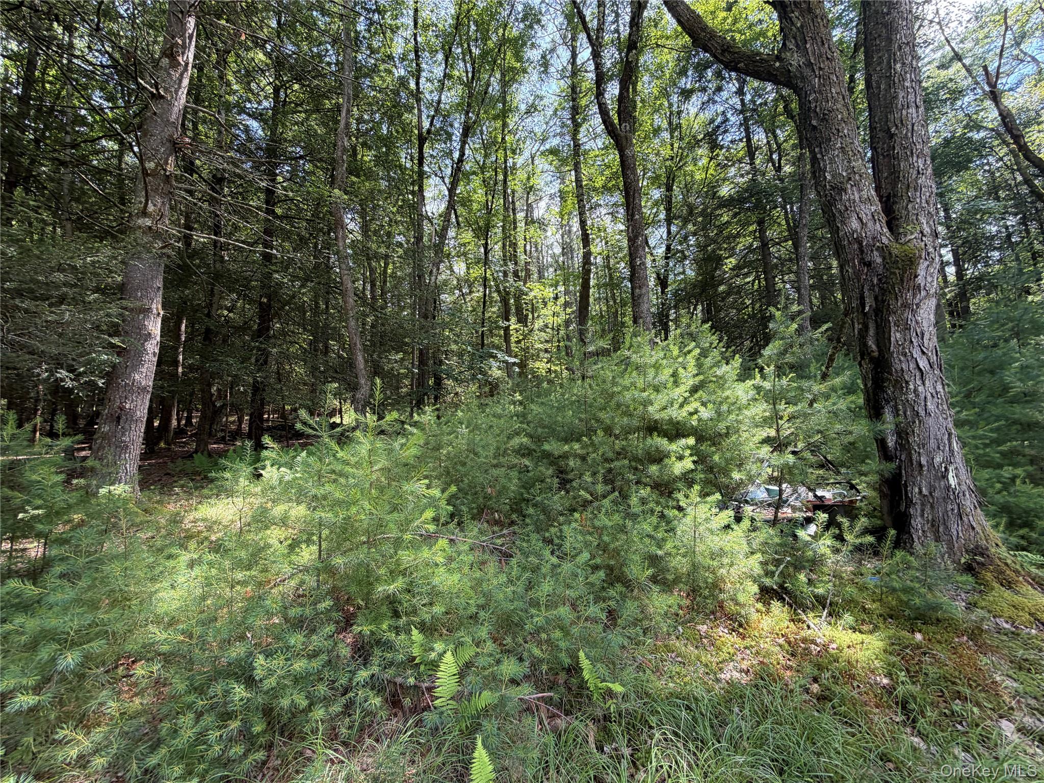 60 Highland Lake Road Property Photo 30