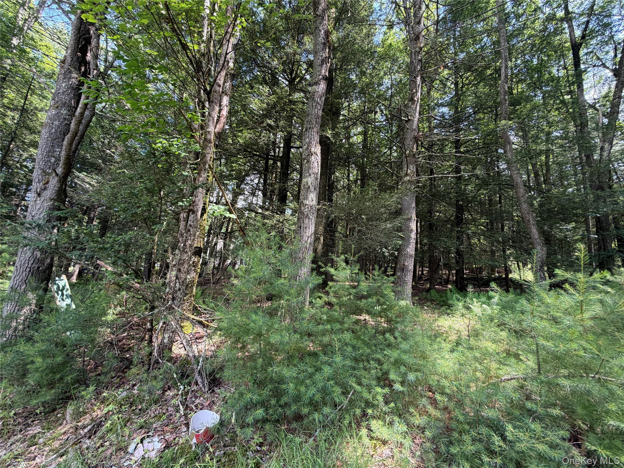 60 Highland Lake Road Property Photo 31