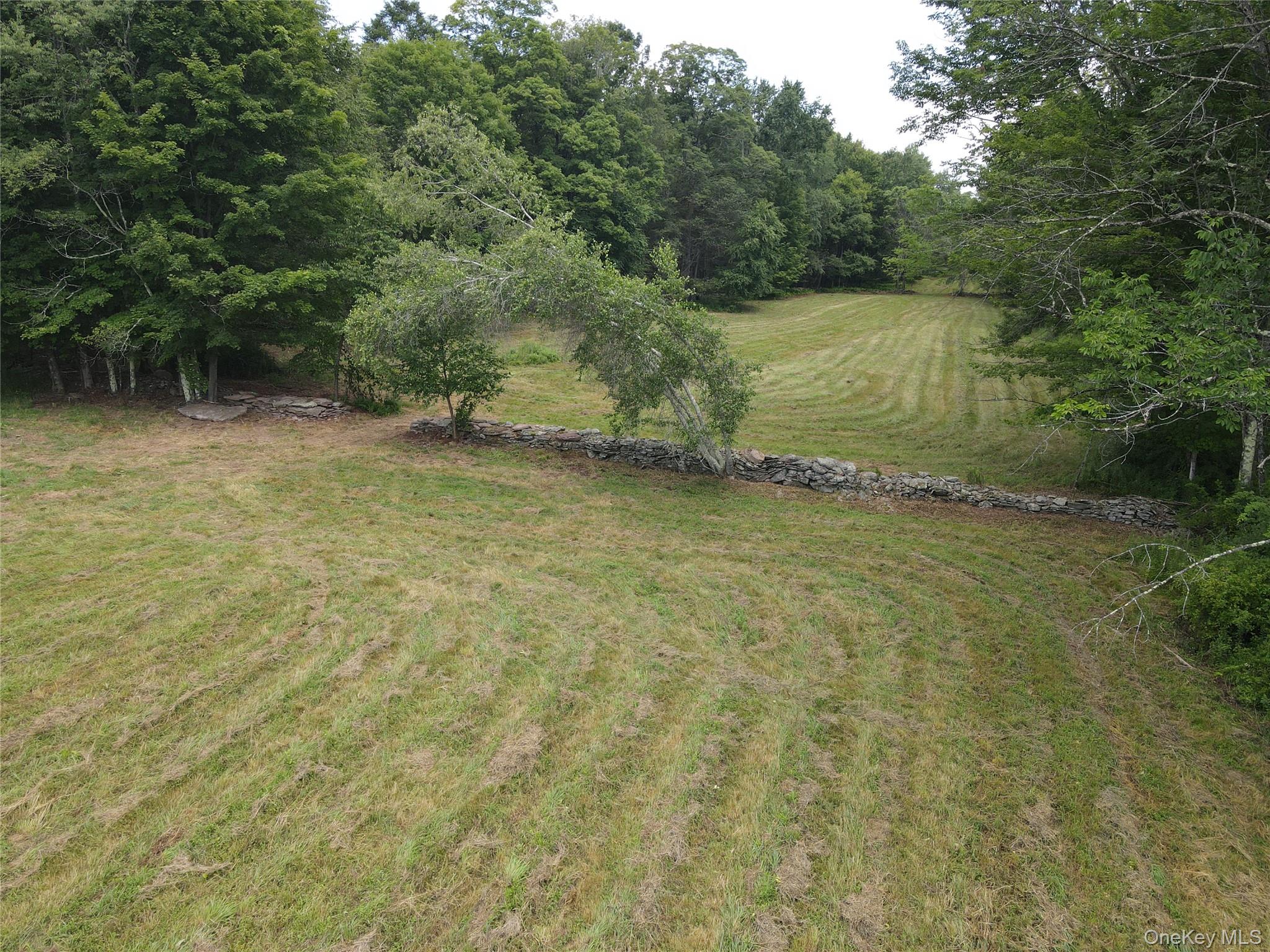1103 County Road 114 Property Photo 24