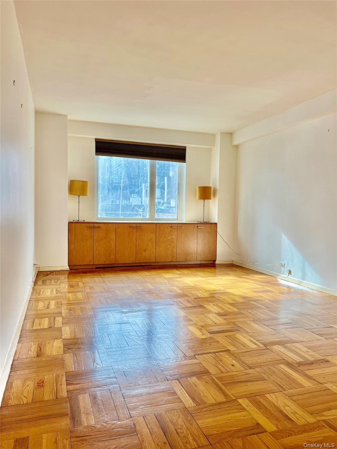 411 E 53rd Street 8l Property Photo 4