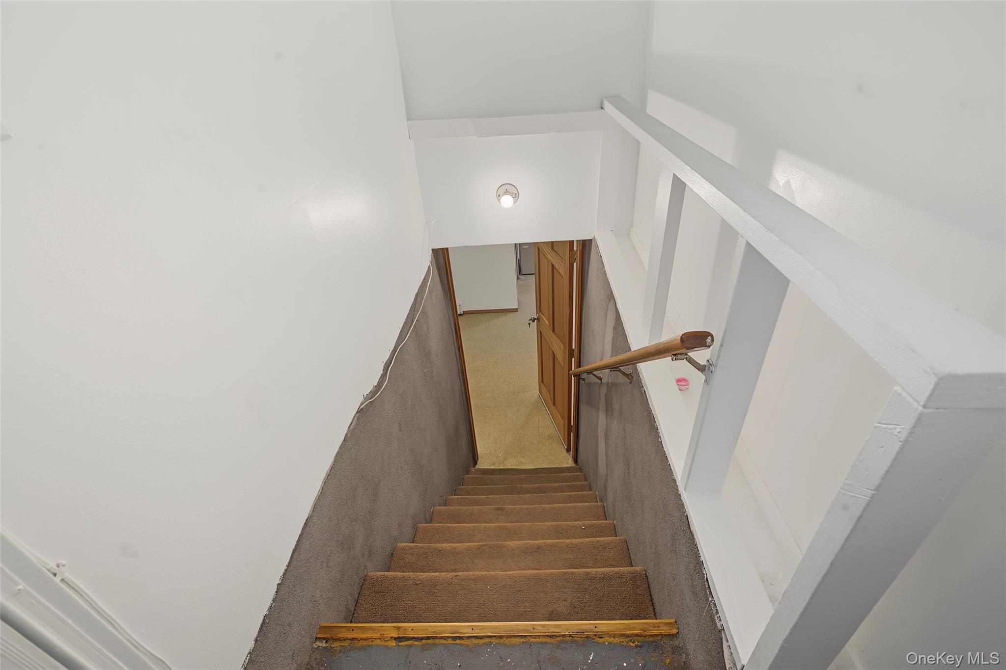 46 Oakland Avenue Property Photo 23