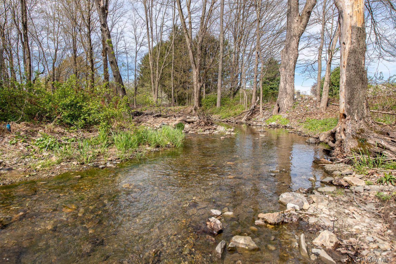 284 Waterbury Hill Road Property Photo 45
