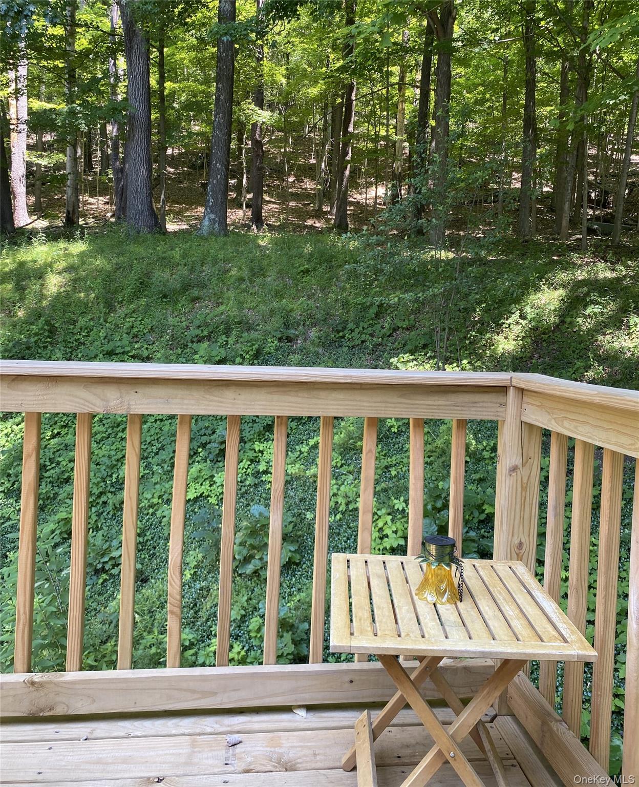 696 Sawkill Road Property Photo 41