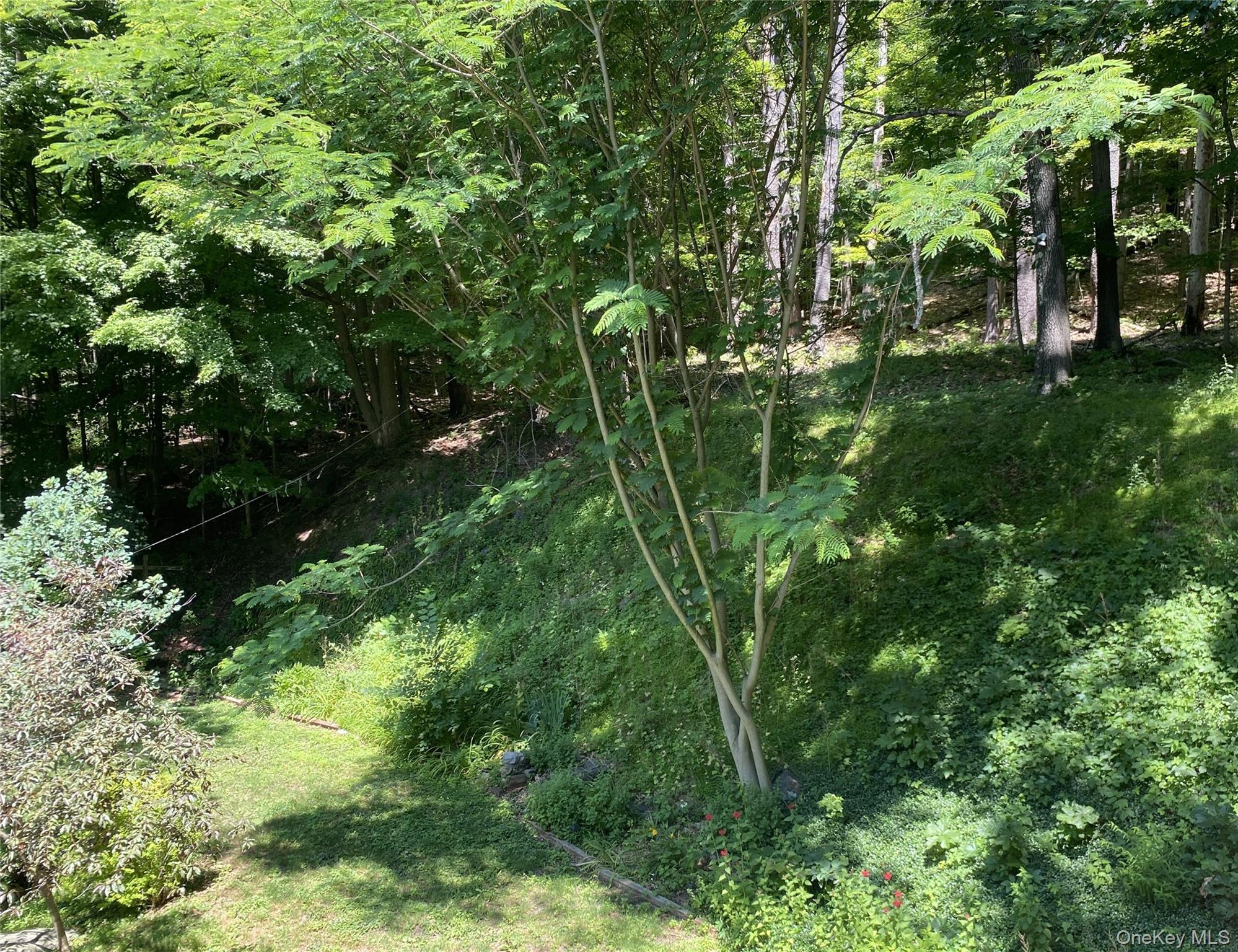 696 Sawkill Road Property Photo 45