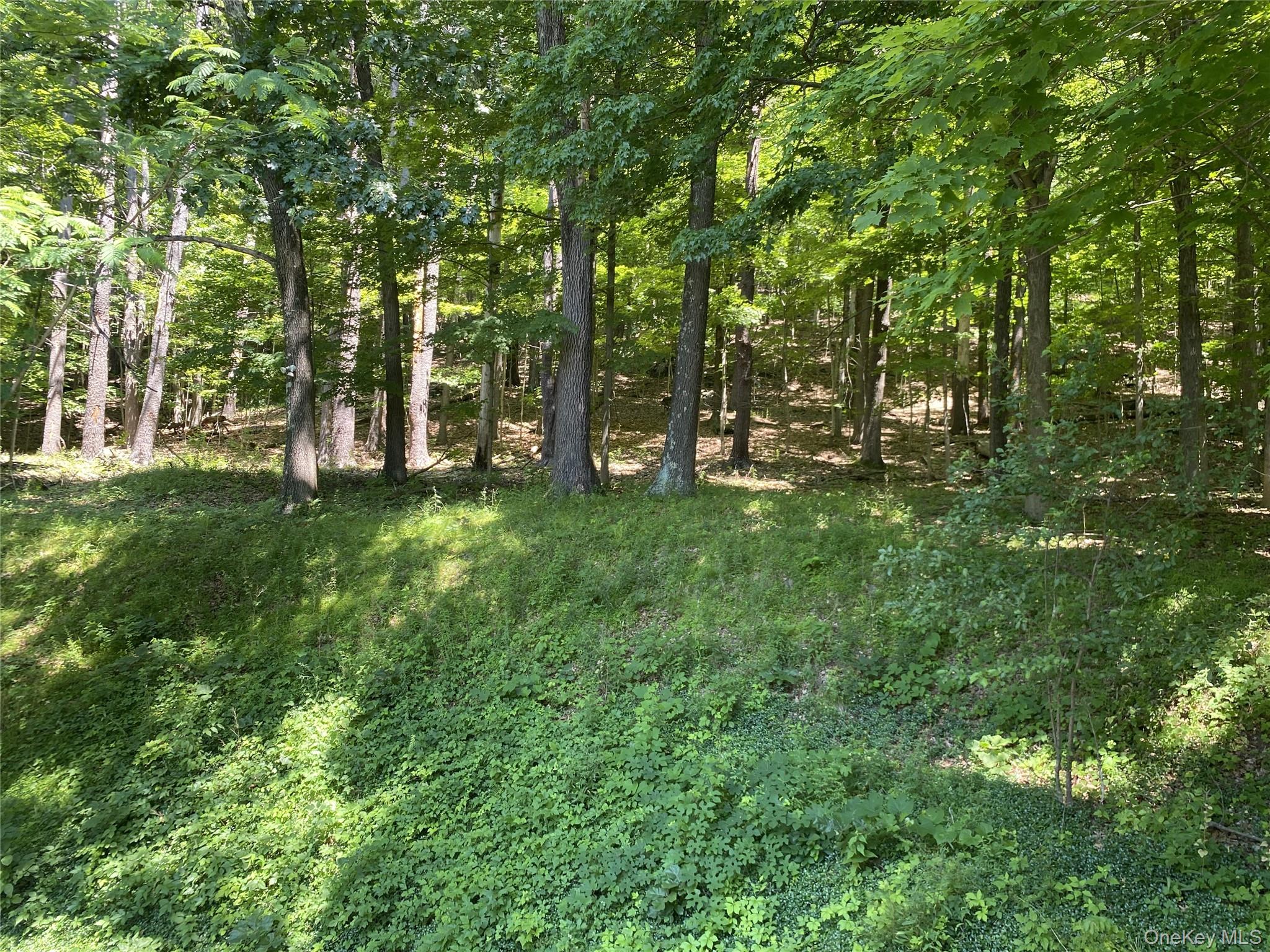696 Sawkill Road Property Photo 46