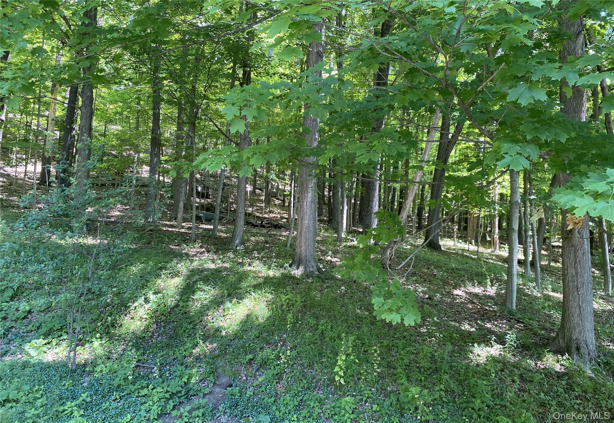 696 Sawkill Road Property Photo 47