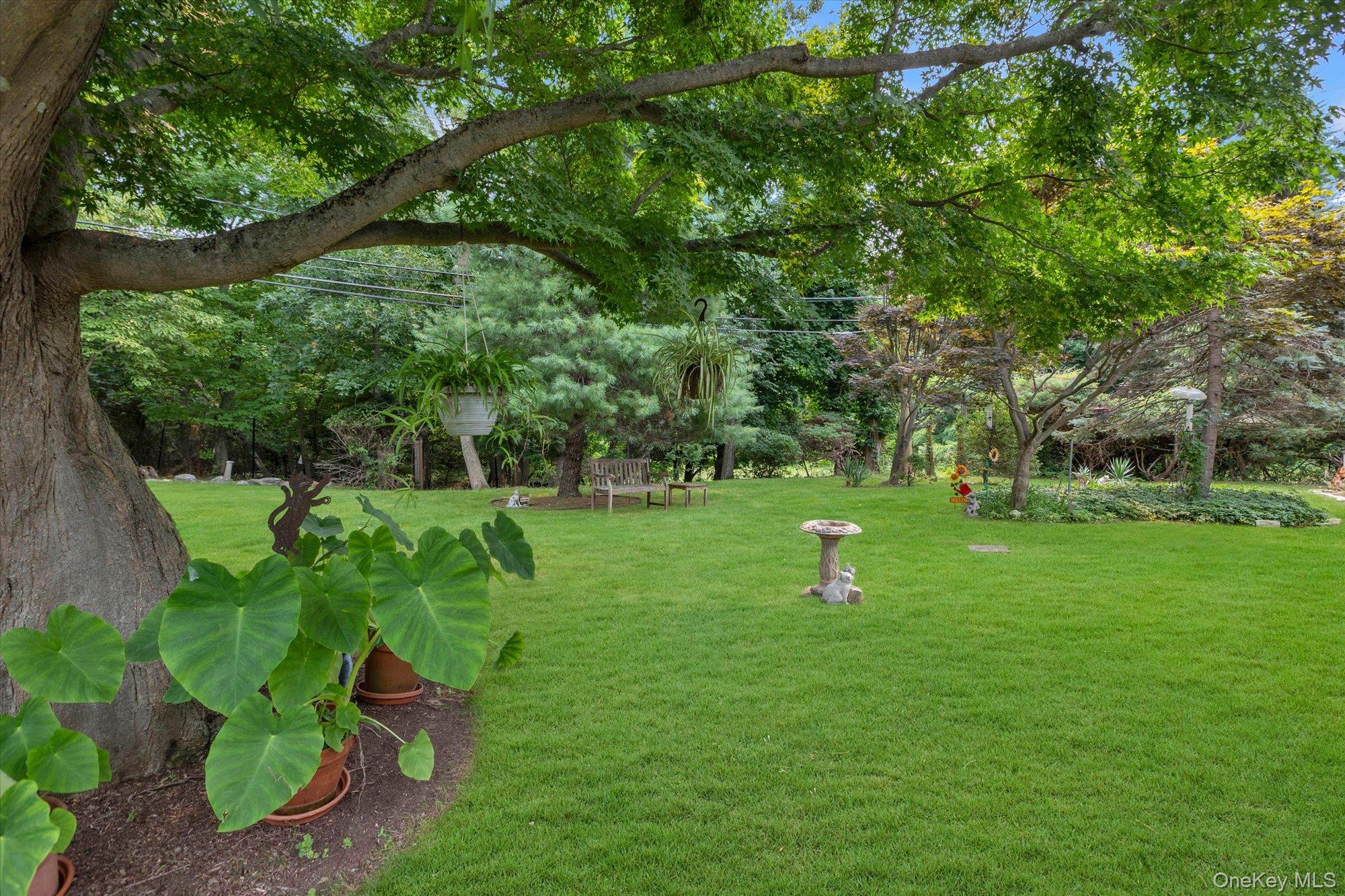 27 Fisher Road Property Photo 5