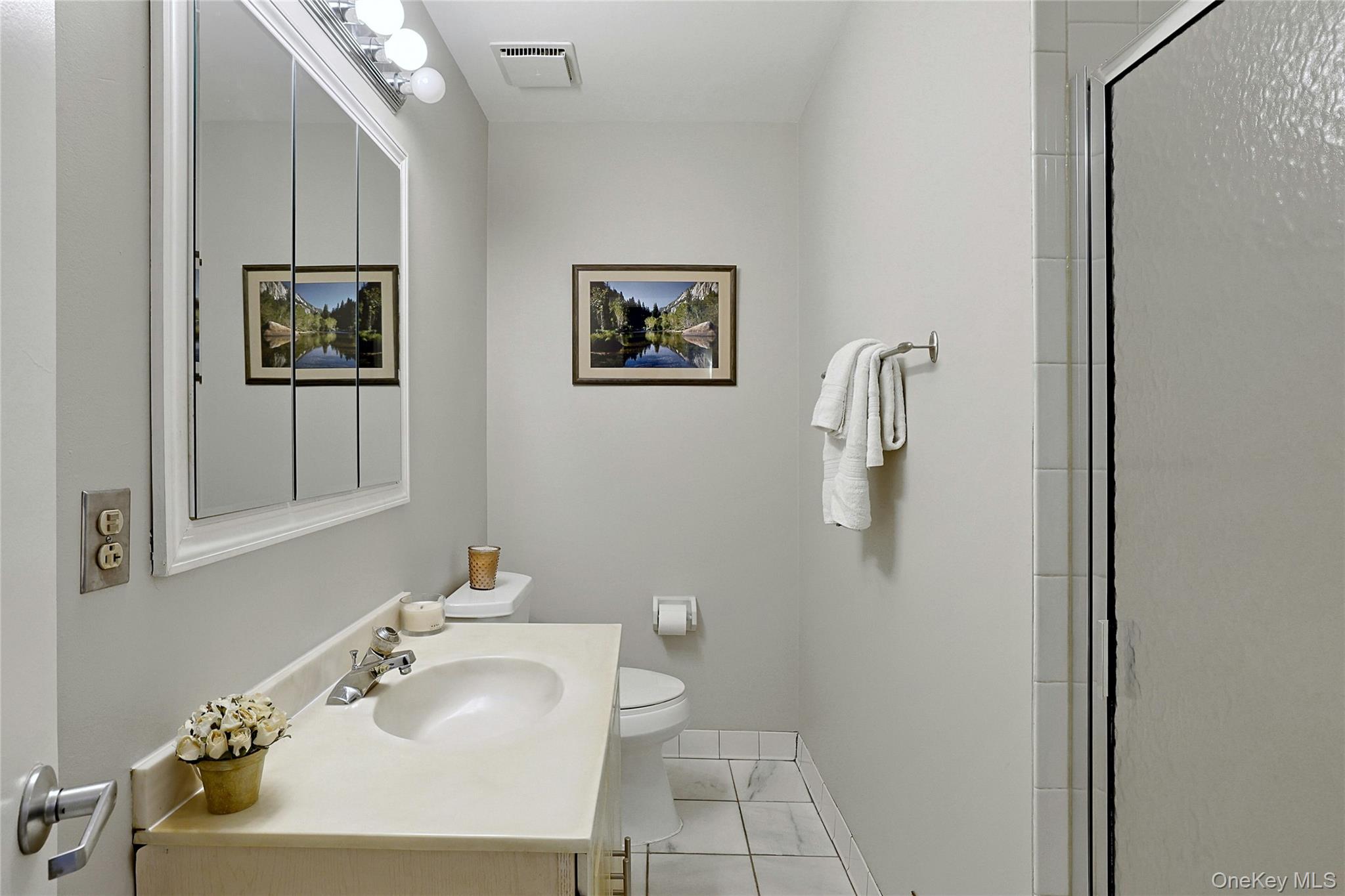 28 Cheshire Lane Property Photo 20