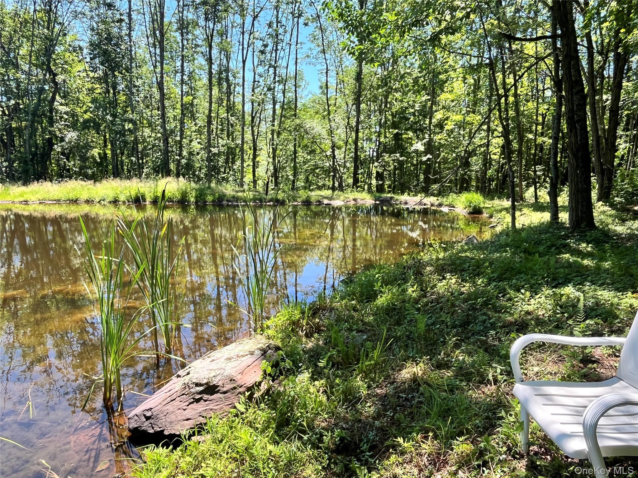Upper Pond Dahlia Road Property Photo 1