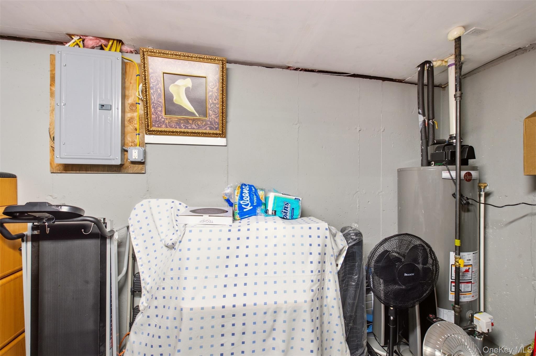 723 Carman Avenue 9 Property Photo 27